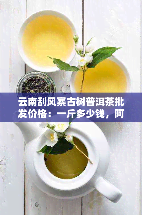 云南刮风寨古树普洱茶批发价格：一斤多少钱，阿里平台优惠一览