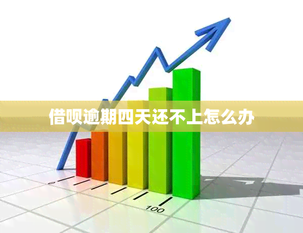 网贷逾期四天还不上怎么办