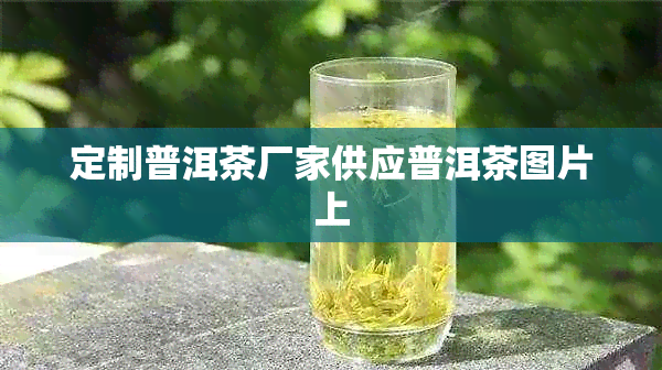 定制普洱茶厂家供应普洱茶图片上