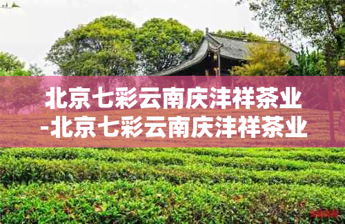 北京七彩云南庆沣祥茶业-北京七彩云南庆沣祥茶业是谁