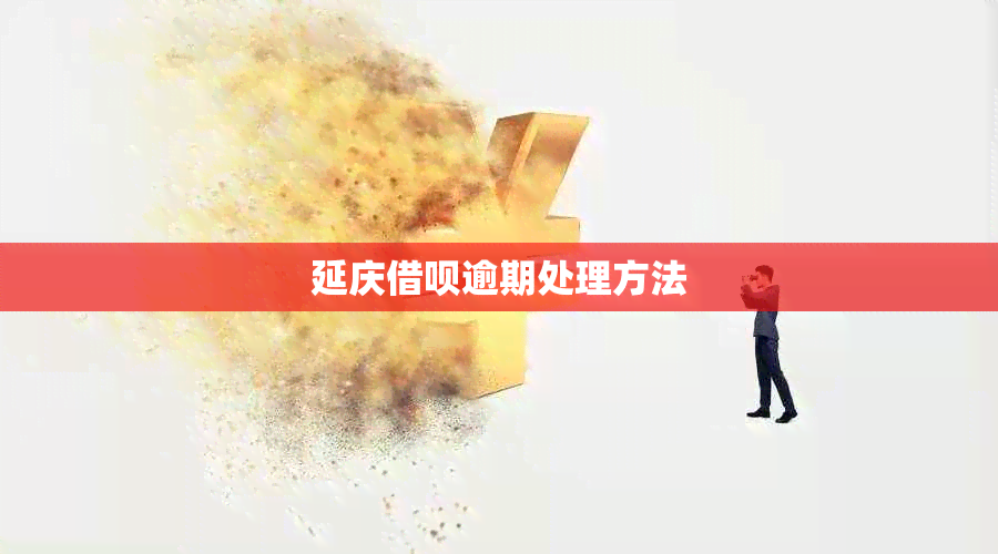 延庆网贷逾期处理方法