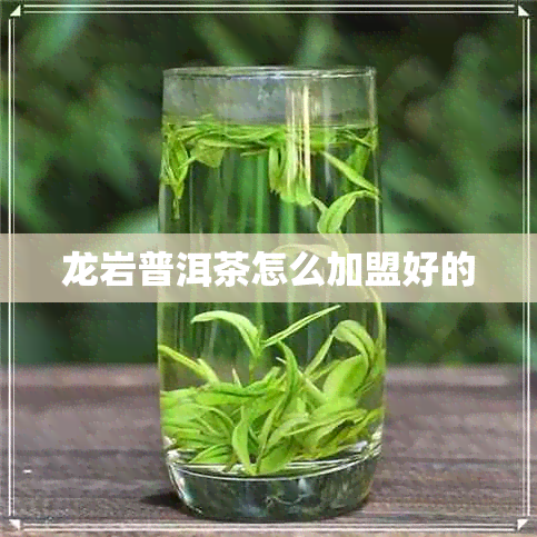 龙岩普洱茶怎么加盟好的 龙岩普洱茶怎么加盟好的