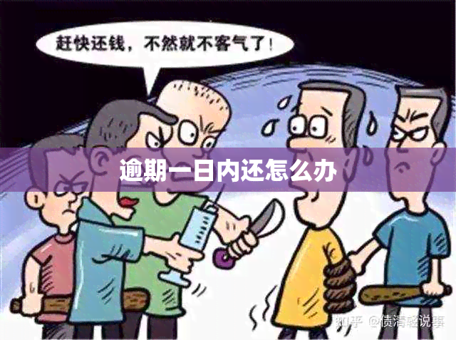 逾期一日内还怎么办