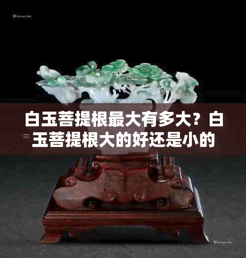 白玉菩提根更大有多大?白玉菩提根大的好还是小的好,多大的手串比较好