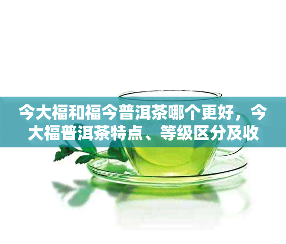 今大福和福今普洱茶哪个更好，今大福普洱茶特点、等级区分及收藏价值