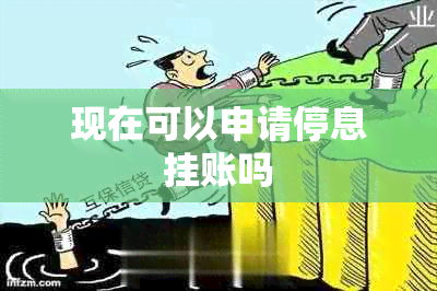 现在可以申请停息挂账吗