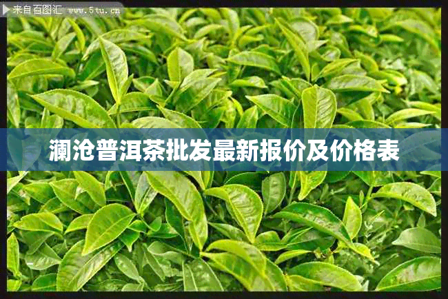 澜沧普洱茶批发最新报价及价格表