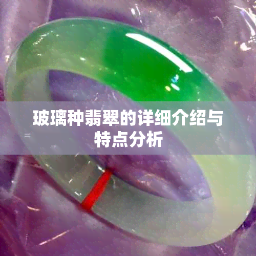 玻璃种翡翠的详细介绍与特点分析