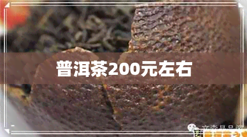 普洱茶200元左右
