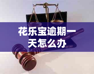 花乐宝逾期一天怎么办