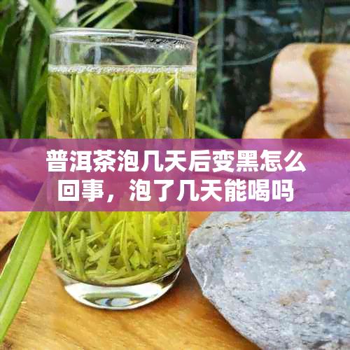 普洱茶泡几天后变黑怎么回事,泡了几天能喝吗