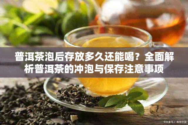 普洱茶泡后存放多久还能喝?全面解析普洱茶的冲泡与保存注意事项
