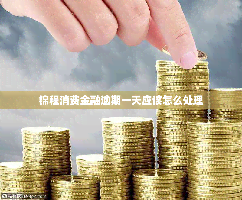 锦程消费金融逾期一天应该怎么处理