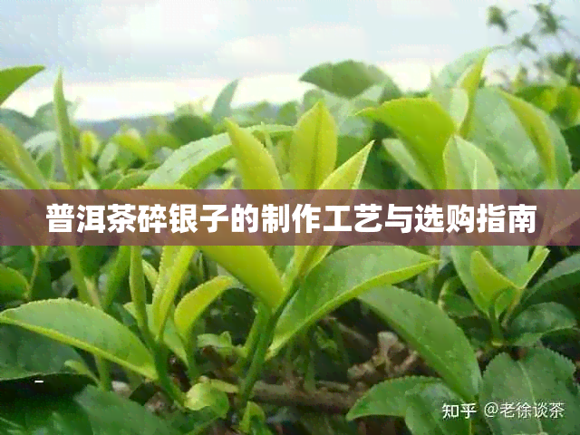 普洱茶碎银子的制作工艺与选购指南