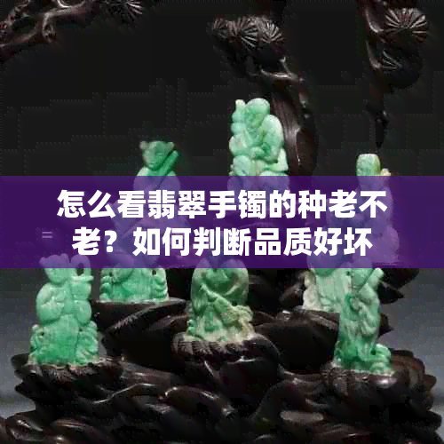 怎么看翡翠手镯的种老不老?如何判断品质好坏