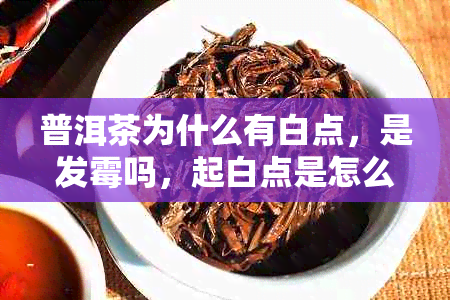 普洱茶为什么有白点，是发霉吗，起白点是怎么回事