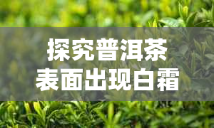 探究普洱茶表面出现白霜的原因究竟是什么