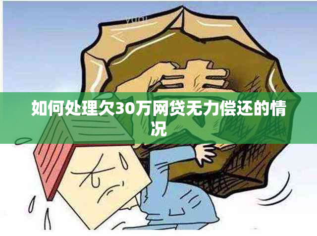 如何处理欠30万网贷无力偿还的情况