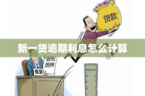 新一贷逾期利息怎么计算