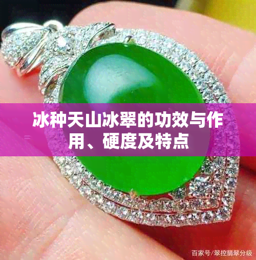冰种天山冰翠的功效与作用、硬度及特点