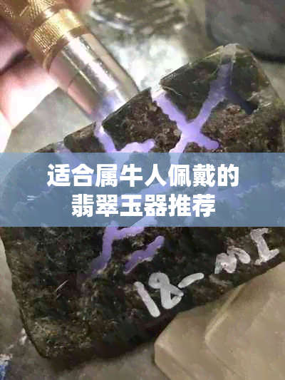 适合属牛人佩戴的翡翠玉器推荐