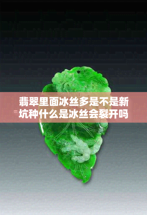 翡翠里面冰丝多是不是新坑种什么是冰丝会裂开吗