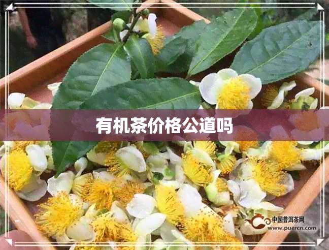 有机茶价格公道吗 有机茶价格公道吗