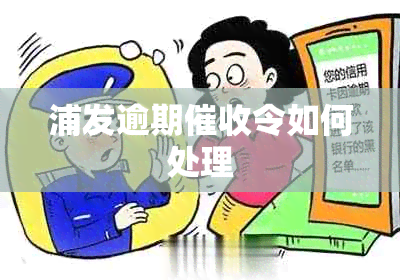 浦发逾期令如何处理