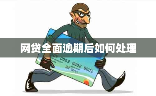 网贷全面逾期后如何处理