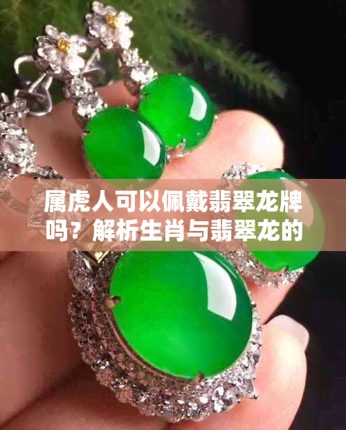 属虎人可以佩戴翡翠龙牌吗？解析生肖与翡翠龙的搭配禁忌与意义