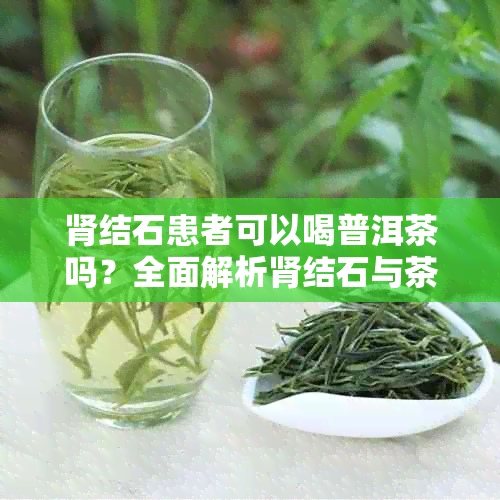 肾结石患者可以喝普洱茶吗?全面解析肾结石与茶叶的关系