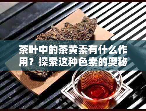 茶叶中的茶黄素有什么作用？探索这种色素的奥秘
