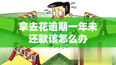 拿去花逾期一年未还款该怎么办