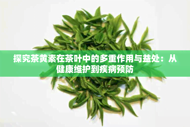 探究茶黄素在茶叶中的多重作用与益处：从健康维护到疾病预防