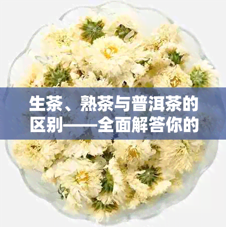 生茶、熟茶与普洱茶的区别——全面解答你的疑惑