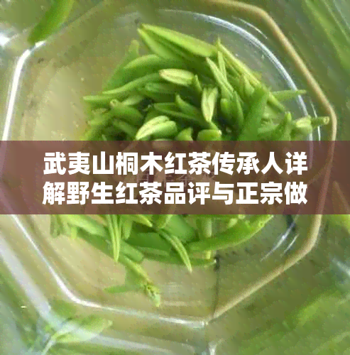 武夷山桐木红茶传承人详解野生红茶品评与正宗做法