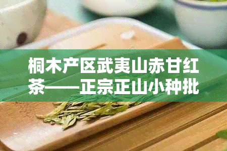 桐木产区武夷山赤甘红茶——正宗正山小种批发价格指南