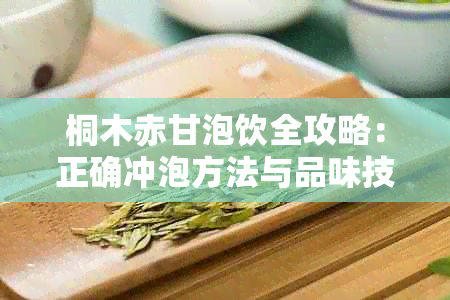 桐木赤甘泡饮全攻略：正确冲泡方法与品味技巧详解