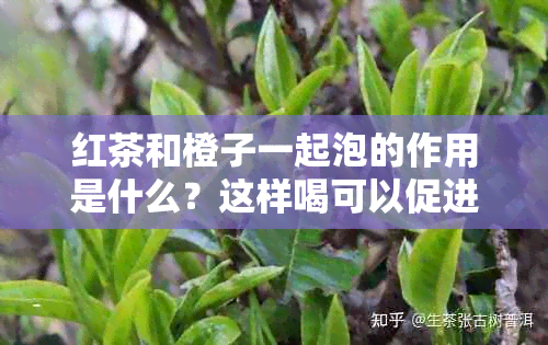 红茶和橙子一起泡的作用是什么？这样喝可以促进健康