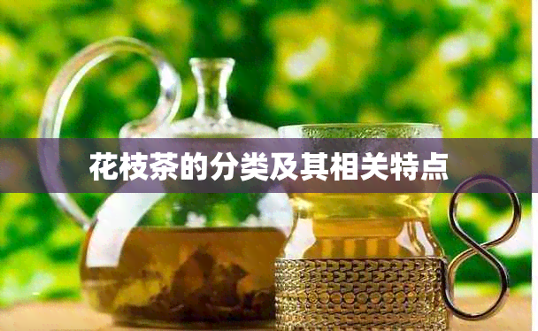 花枝茶的分类及其相关特点