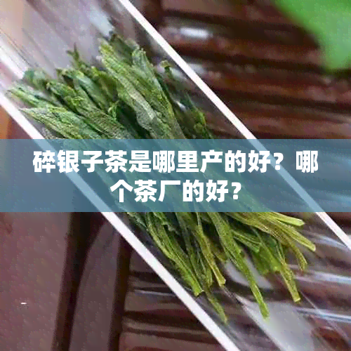 碎银子茶是哪里产的好？哪个茶厂的好？
