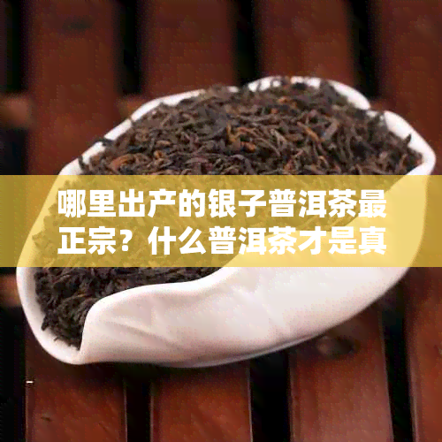 哪里出产的银子普洱茶最正宗？什么普洱茶才是真的好？