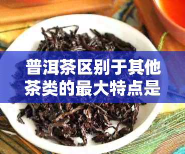 普洱茶区别于其他茶类的更大特点是什么
