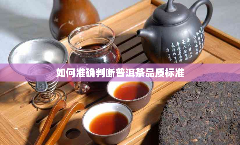 如何准确判断普洱茶品质标准