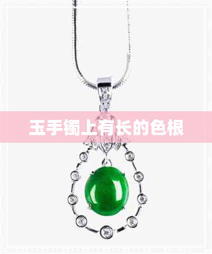 玉手镯上有长的色根