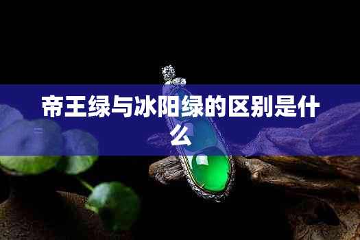帝王绿与冰阳绿的区别是什么