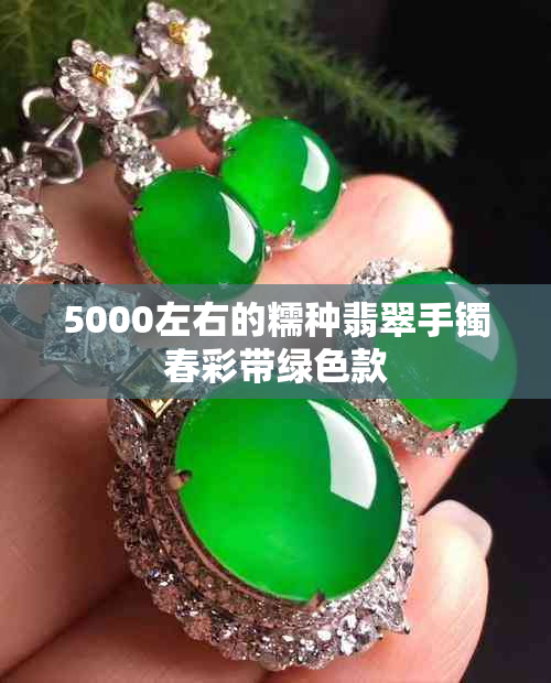 5000左右的糯种翡翠手镯春彩带绿色款