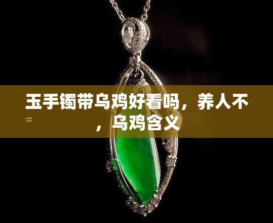 玉手镯带乌鸡好看吗，养人不，乌鸡含义