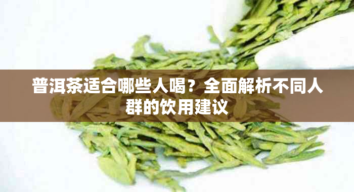 普洱茶适合哪些人喝?全面解析不同人群的饮用建议