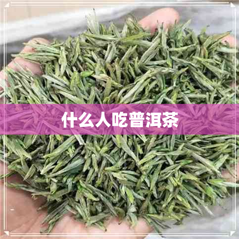 什么人吃普洱茶 什么人吃普洱茶